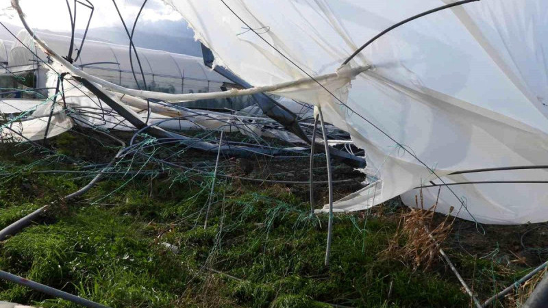 HATAY'DA ÇIKAN HORTUM SERALARA ZARAR VERDİ.