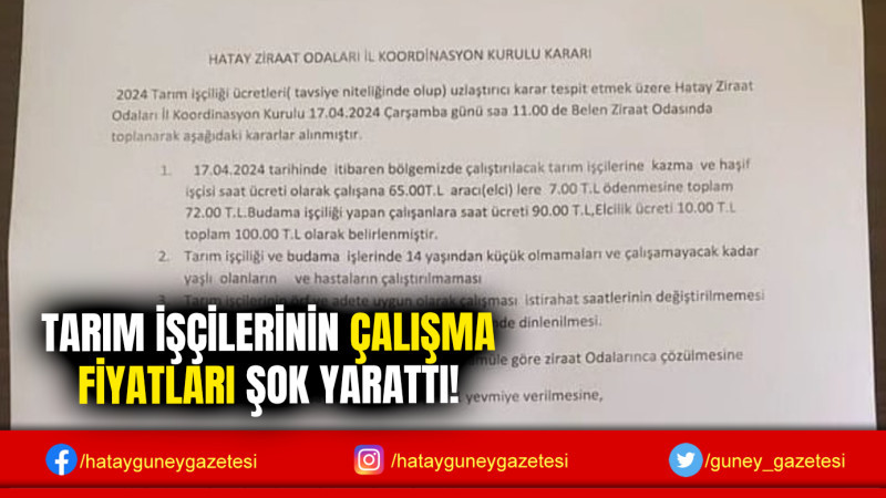 TARIM İŞÇİLERİNİN ÇALIŞMA FİYATLARI ŞOK YARATTI!