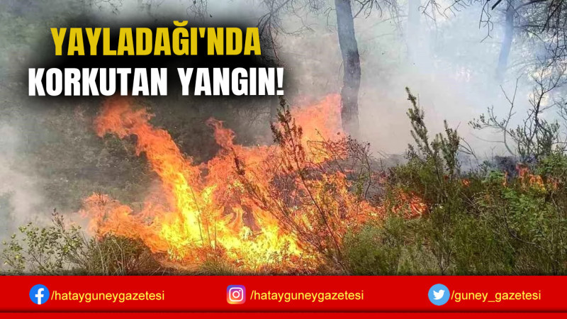 YAYLADAĞI'NDA KORKUTAN YANGIN!