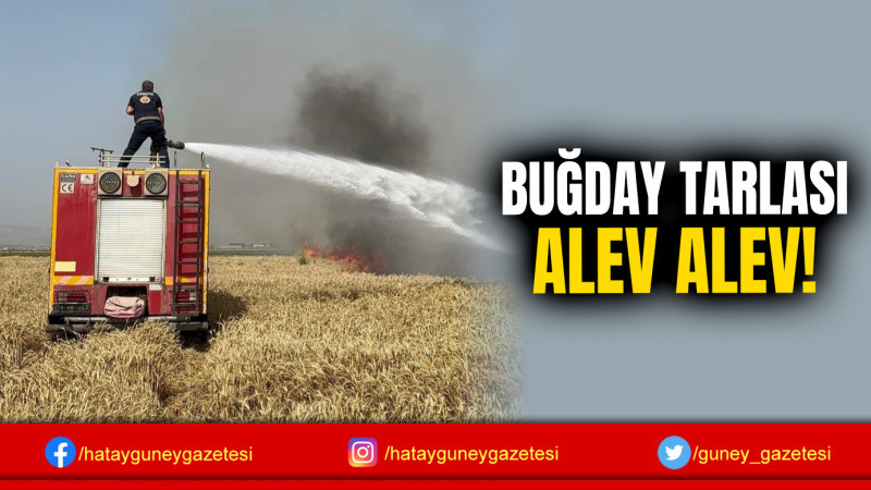 BUĞDAY TARLASI ALEV ALEV!