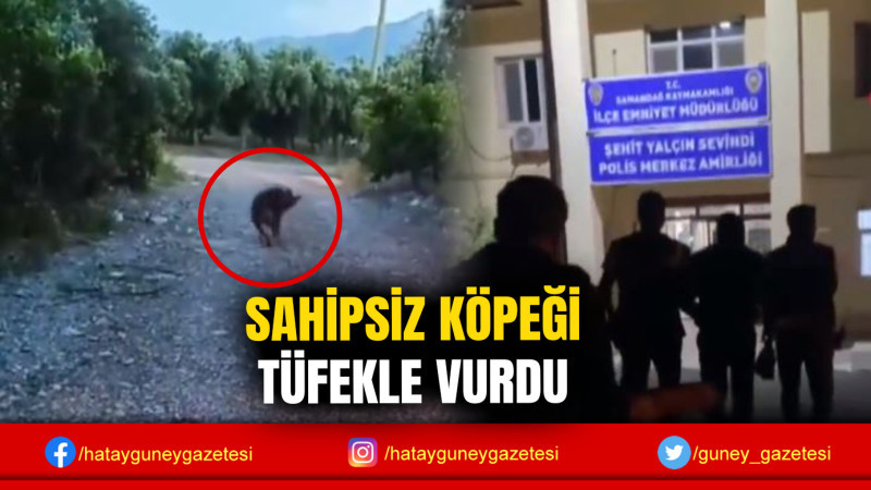 SAHİPSİZ KÖPEĞİ TÜFEKLE VURDU