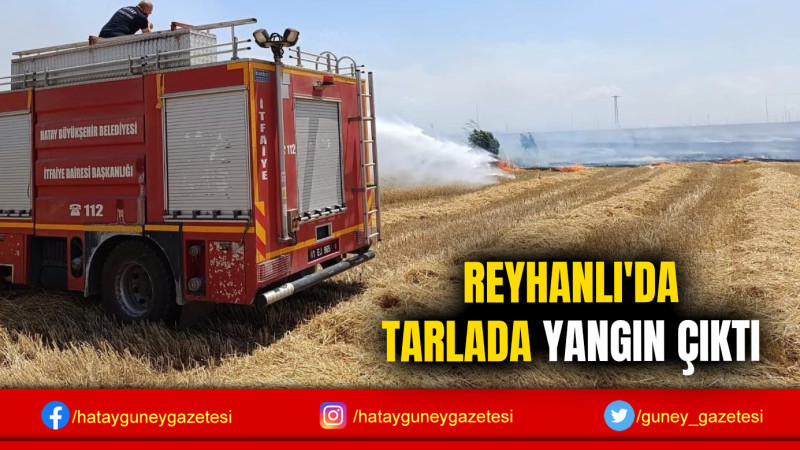 REYHANLI'DA TARLADA YANGIN ÇIKTI