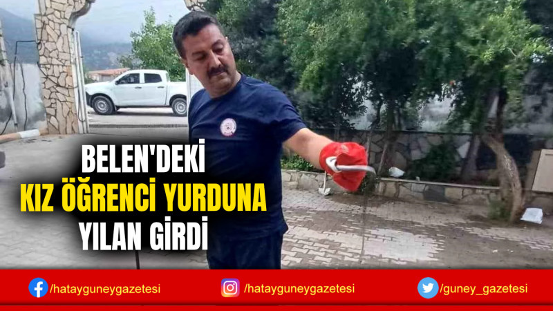 BELEN'DEKİ KIZ ÖĞRENCİ YURDUNA YILAN GİRDİ