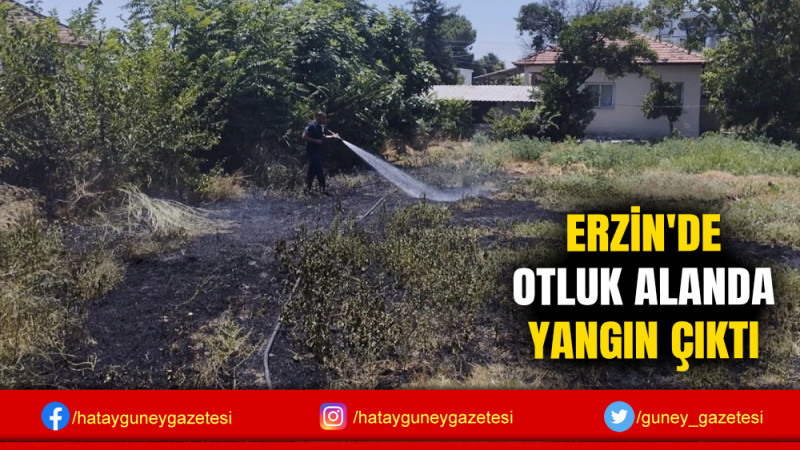 ERZİN'DE OTLUK ALANDA YANGIN ÇIKTI