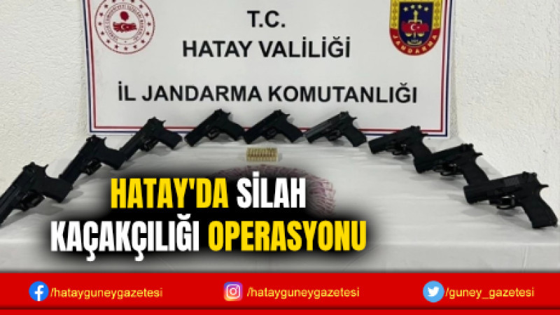 HATAY'DA SİLAH KAÇAKÇILIĞI OPERASYONU