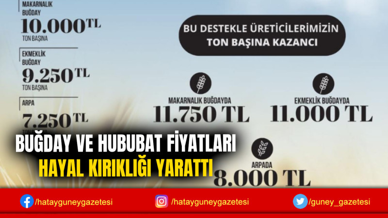 BUĞDAY VE HUBUBAT FİYATLARI HAYAL KIRIKLIĞI YARATTI