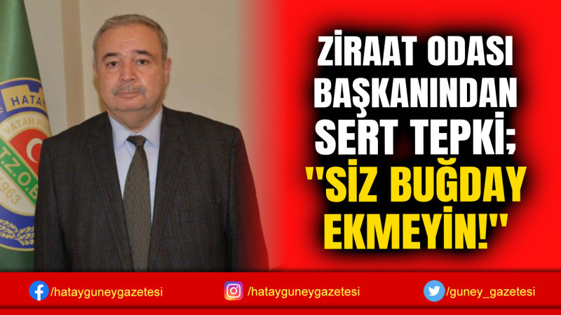 ZİRAAT ODASI BAŞKANINDAN SERT TEPKİ; ''SİZ BUĞDAY EKMEYİN!''