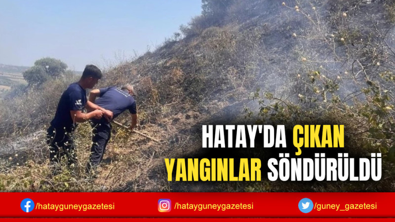 HATAY'DA ÇIKAN YANGINLAR SÖNDÜRÜLDÜ