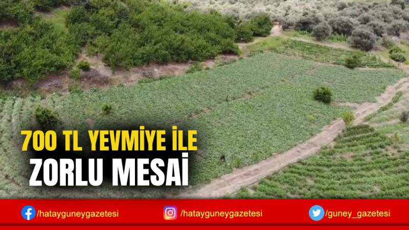 700 TL YEVMİYE İLE ZORLU MESAİ