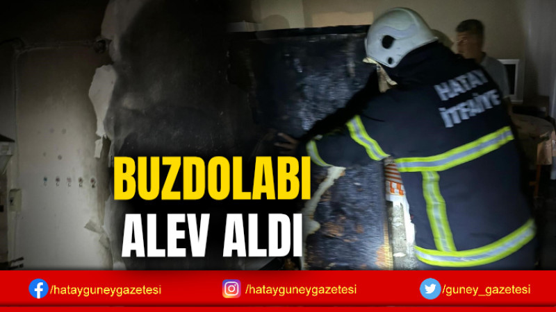 BUZDOLABI ALEV ALDI