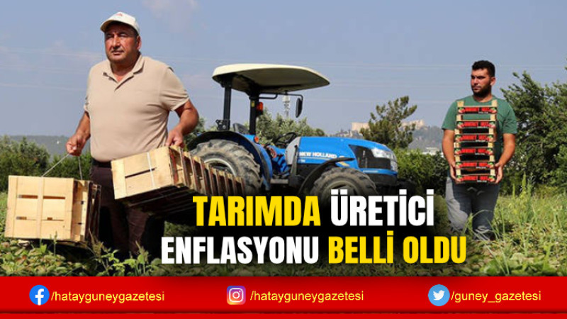 TARIMDA ÜRETİCİ ENFLASYONU BELLİ OLDU