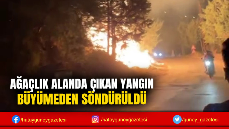 AĞAÇLIK ALANDA ÇIKAN YANGIN BÜYÜMEDEN SÖNDÜRÜLDÜ