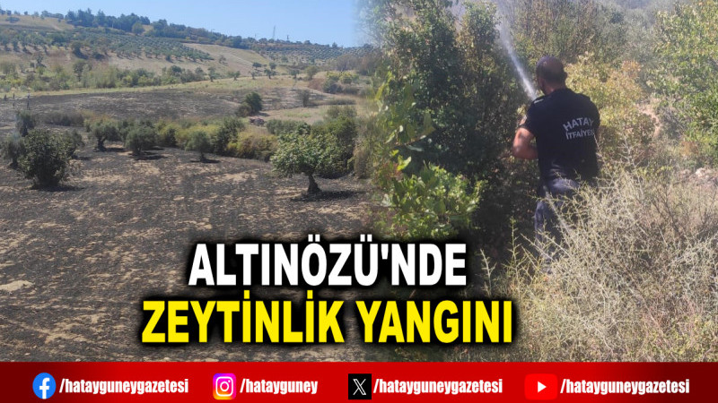 ALTINÖZÜ'NDE ZEYTİNLİK YANGINI