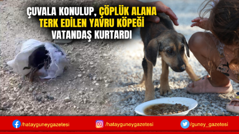 ÇUVALA KONULUP, ÇÖPLÜK ALANA TERK EDİLEN YAVRU KÖPEĞİ VATANDAŞ KURTARDI