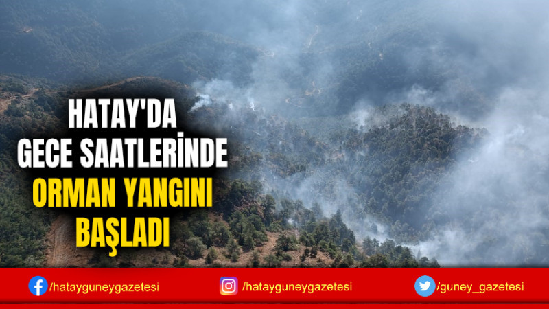 HATAY'DA GECE SAATLERİNDE ORMAN YANGINI BAŞLADI