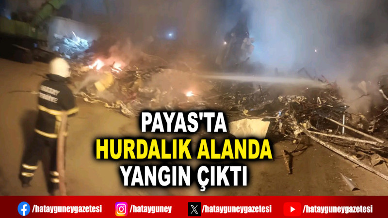 PAYAS'TA HURDALIK ALANDA YANGIN ÇIKTI