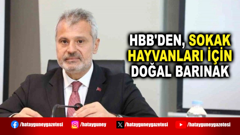 HBB'DEN, SOKAK HAYVANLARI İÇİN DOĞAL BARINAK