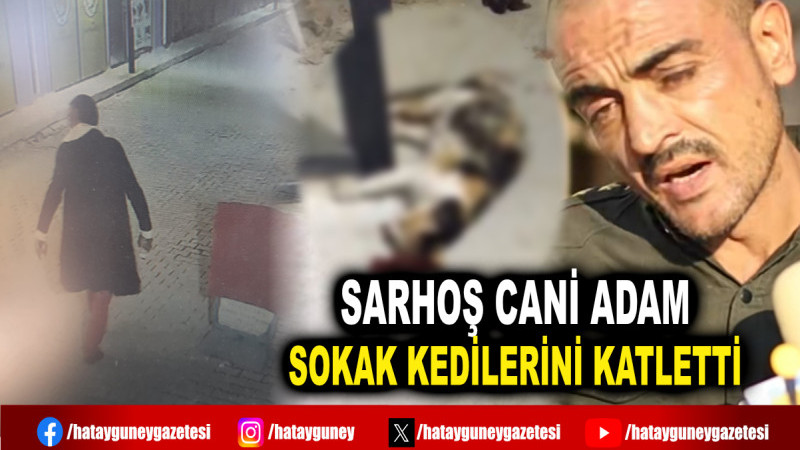 SARHOŞ CANİ ADAM SOKAK KEDİLERİNİ KATLETTİ