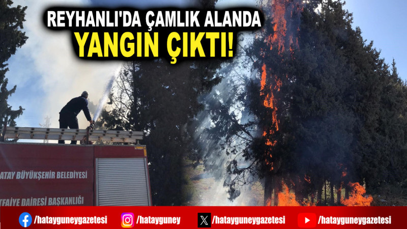 REYHANLI'DA ÇAMLIK ALANDA YANGIN ÇIKTI!