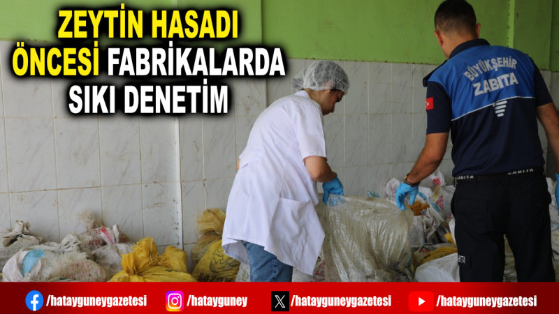 ZEYTİN HASADI ÖNCESİ FABRİKALARDA SIKI DENETİM