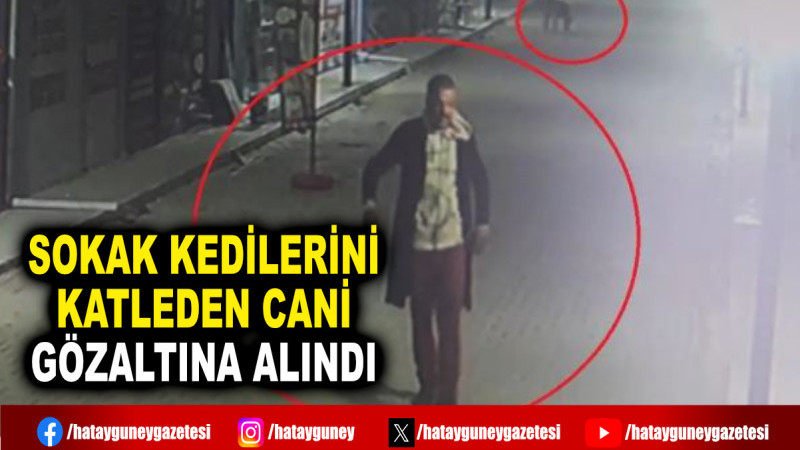 SOKAK KEDİLERİNİ KATLEDEN CANİ GÖZALTINA ALINDI