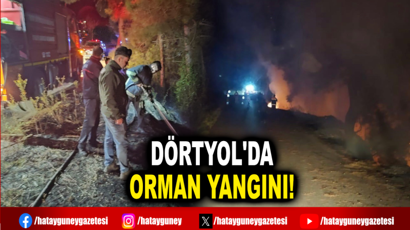 DÖRTYOL'DA ORMAN YANGINI!