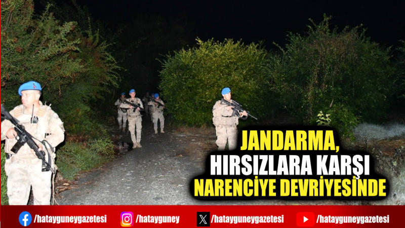 JANDARMA, HIRSIZLARA KARŞI NARENCİYE DEVRİYESİNDE