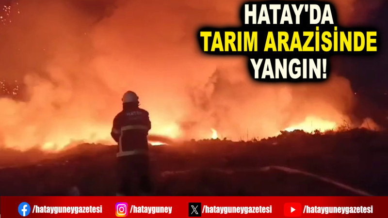 HATAY'DA TARIM ARAZİSİNDE YANGIN!