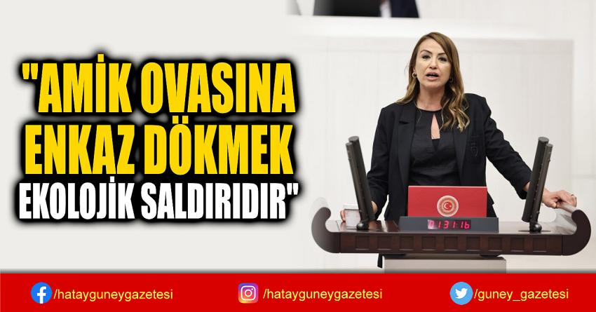 ''AMİK OVASINA  ENKAZ DÖKMEK  EKOLOJİK SALDIRIDIR''