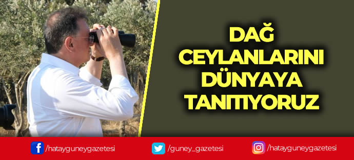 DAĞ CEYLANLARINI DÜNYAYA TANITIYORUZ