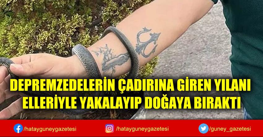 DEPREMZEDELERİN ÇADIRINA GİREN YILANI ELLERİYLE YAKALAYIP DOĞAYA BIRAKTI