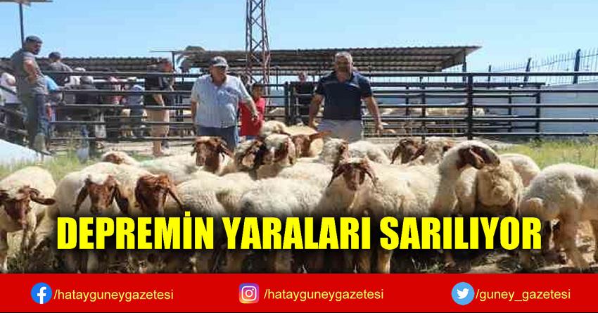 DEPREMİN YARALARI SARILIYOR