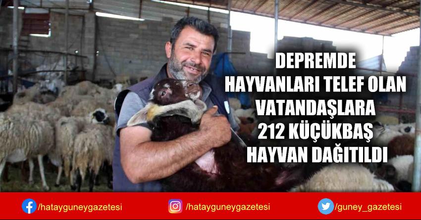 DEPREMDE HAYVANLARI TELEF OLAN VATANDAŞLARA 212 KÜÇÜKBAŞ HAYVAN DAĞITILDI