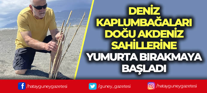 DENİZ KAPLUMBAĞALARI DOĞU AKDENİZ SAHİLLERİNE YUMURTA BIRAKMAYA BAŞLADI