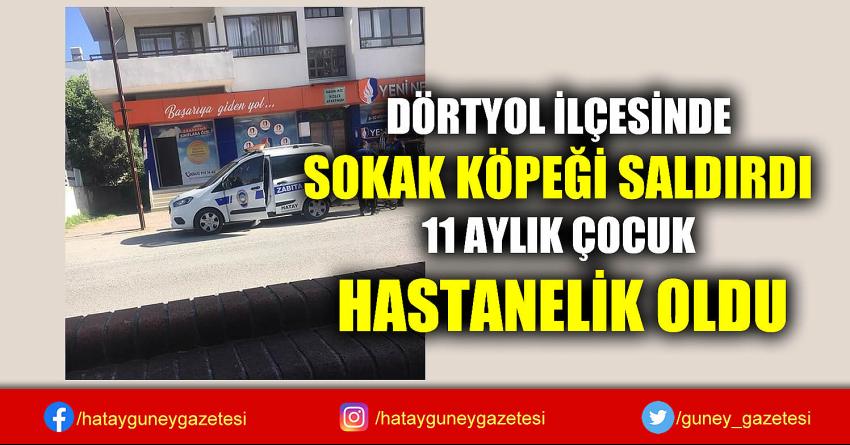 DÖRTYOL İLÇESİNDE SOKAK KÖPEĞİ SALDIRDI, 11 AYLIK ÇOCUK HASTANELİK OLDU