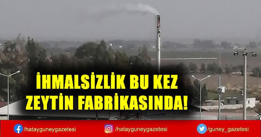 İHMALSİZLİK BU KEZ ZEYTİN FABRİKASINDA!