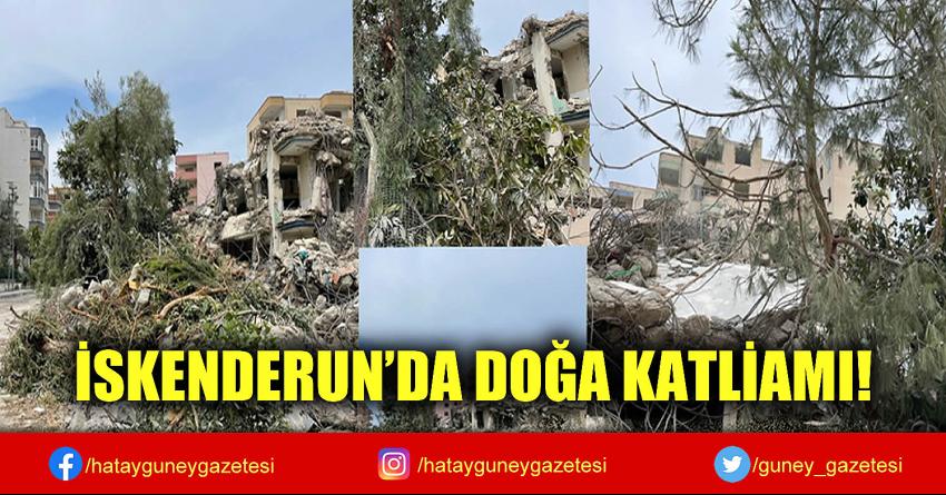 İSKENDERUN’DA DOĞA KATLİAMI!