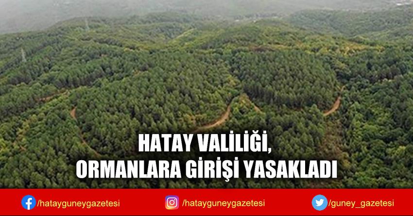 HATAY VALİLİĞİ, ORMANLARA GİRİŞİ YASAKLADI