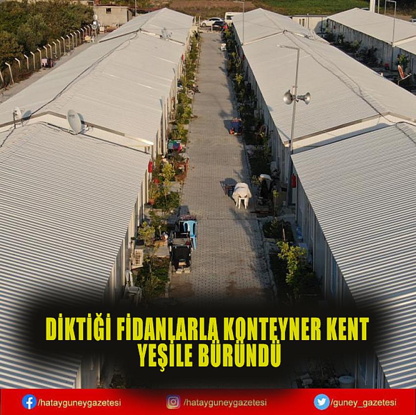 DİKTİĞİ FİDANLARLA KONTEYNER KENT YEŞİLE BÜRÜNDÜ