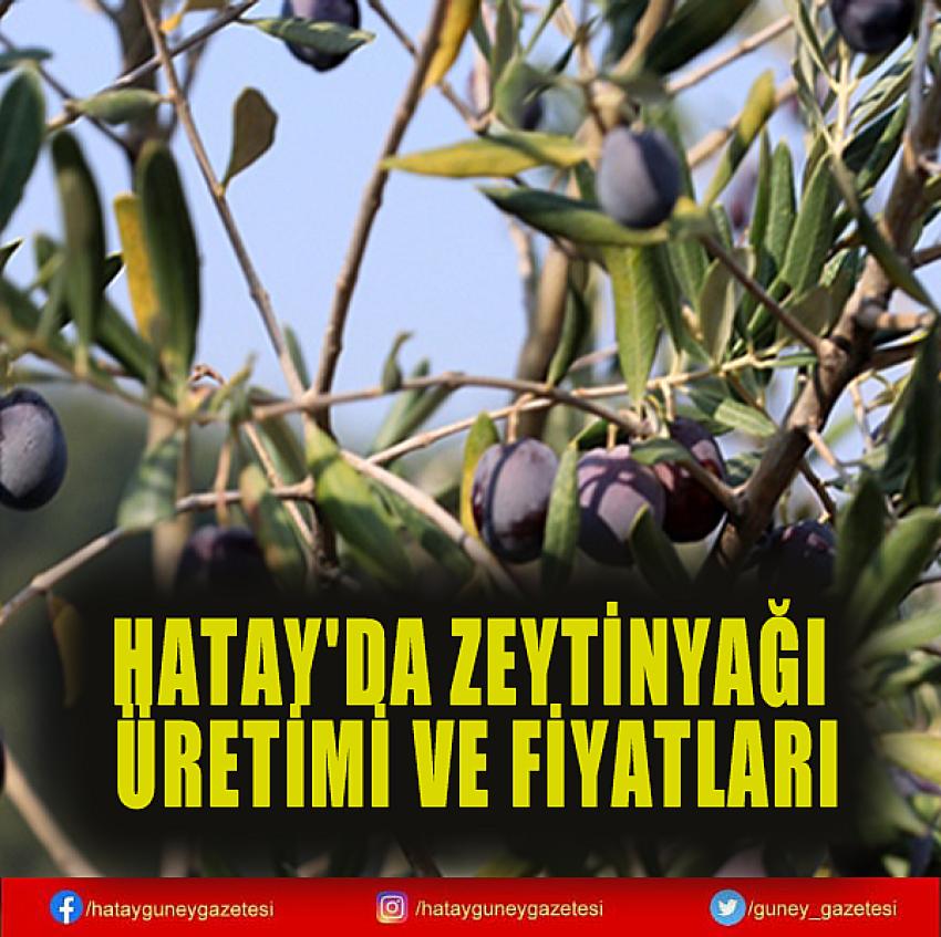 HATAY'DA ZEYTİNYAĞI ÜRETİMİ VE FİYATLARI