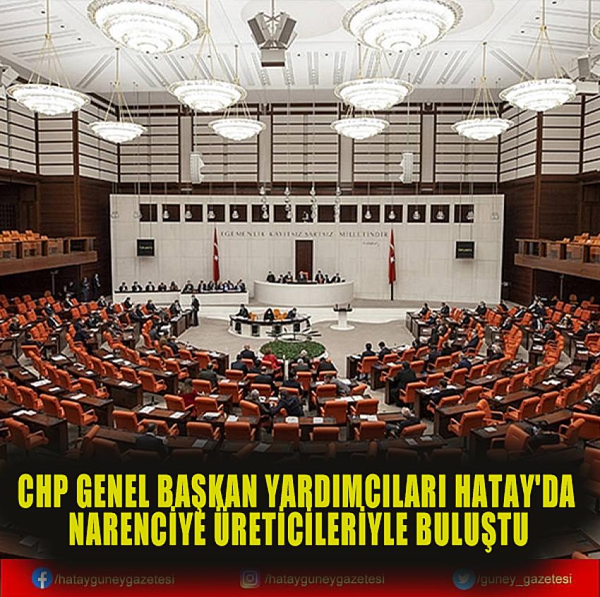 CHP GENEL BAŞKAN YARDIMCILARI HATAY'DA NARENCİYE ÜRETİCİLERİYLE BULUŞTU