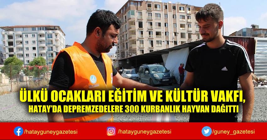 ÜLKÜ OCAKLARI EĞİTİM VE KÜLTÜR VAKFI, HATAY'DA DEPREMZEDELERE 300 KURBANLIK HAYVAN DAĞITTI