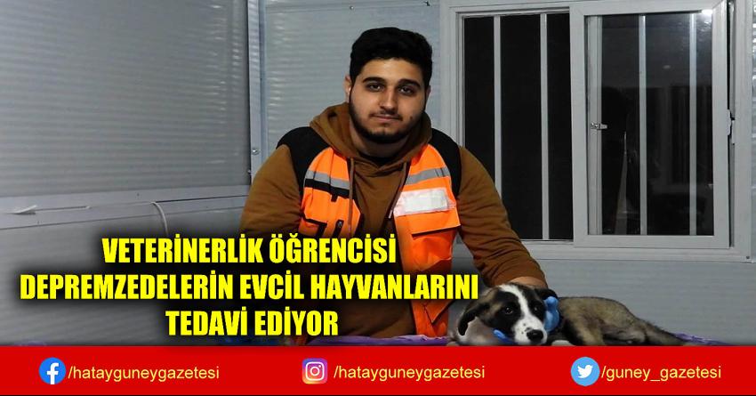 VETERİNERLİK ÖĞRENCİSİ DEPREMZEDELERİN EVCİL HAYVANLARINI TEDAVİ EDİYOR