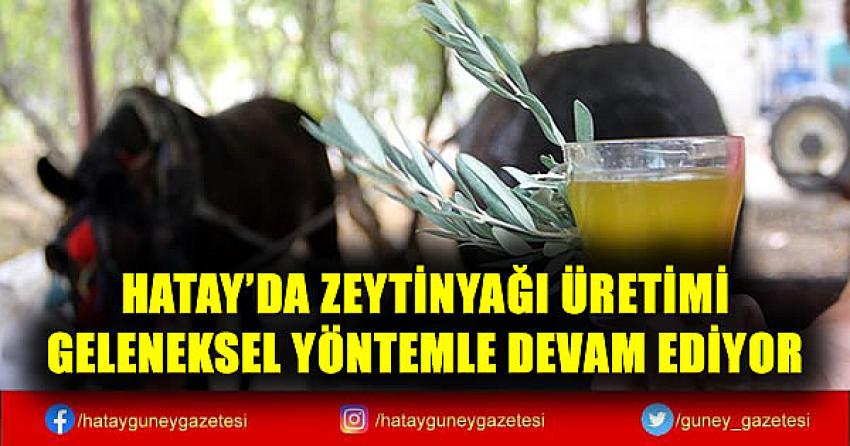 HATAY'DA ZEYTİNYAĞI ÜRETİMİ GELENEKSEL YÖNTEMLE DEVAM EDİYOR