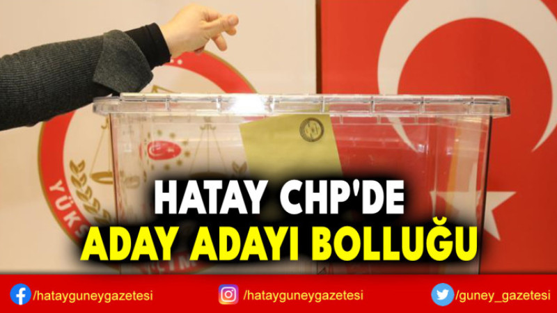 HATAY CHP'DE ADAY ADAYI BOLLUĞU