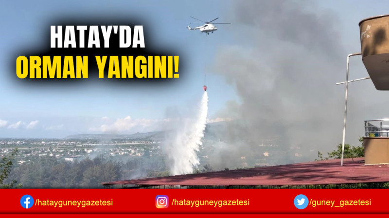 HATAY'DA ORMAN YANGINI!