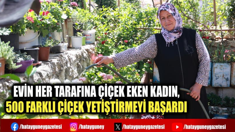 EVİN HER TARAFINA ÇİÇEK EKEN KADIN, 500 FARKLI ÇİÇEK YETİŞTİRMEYİ BAŞARDI