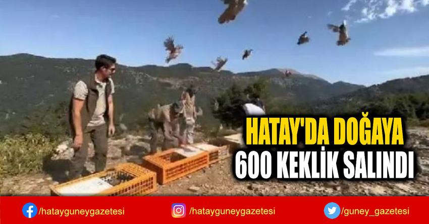 HATAY'DA DOĞAYA 600 KEKLİK SALINDI