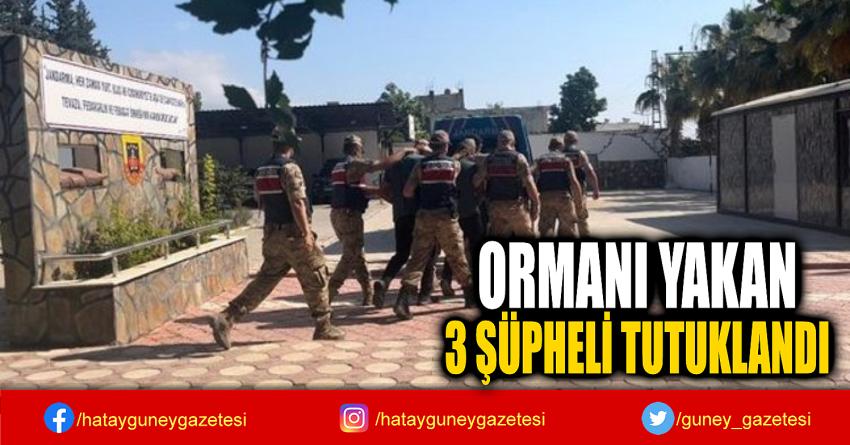 ORMANI YAKAN  3 ŞÜPHELİ TUTUKLANDI