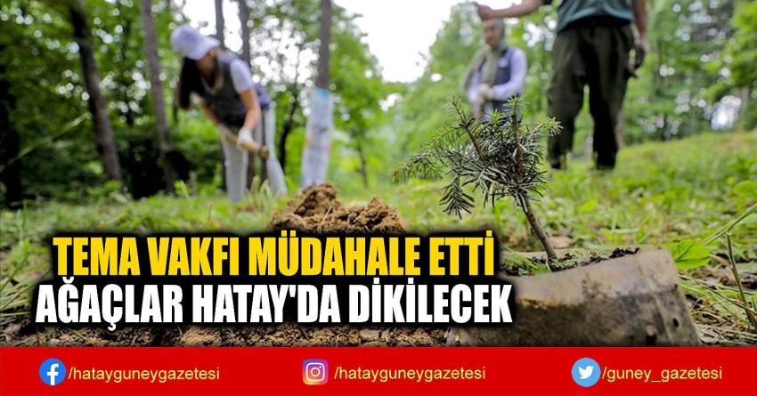 TEMA VAKFI MÜDAHALE ETTİ  AĞAÇLAR HATAY'DA DİKİLECEK